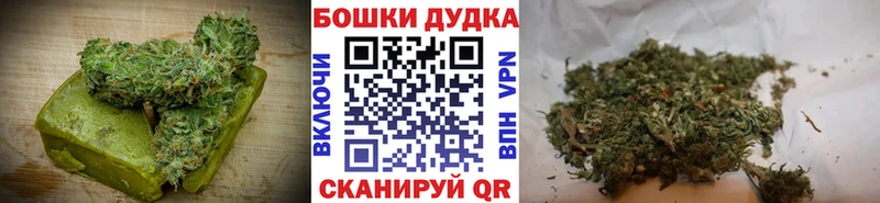 где купить наркоту Николаевск Canna-Cookies марихуана